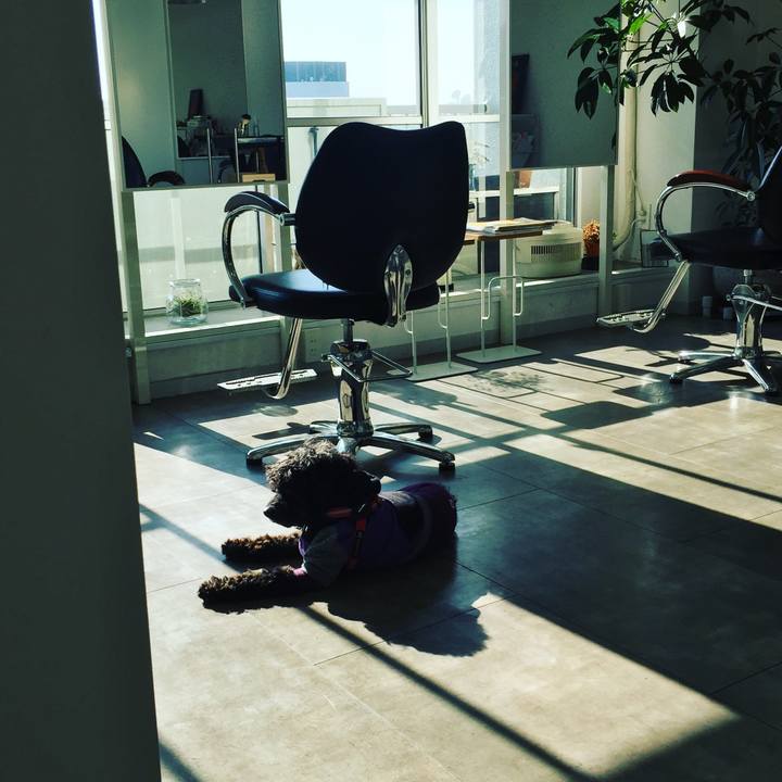 A796effc aec4 40fa ab97 22cb0023db95