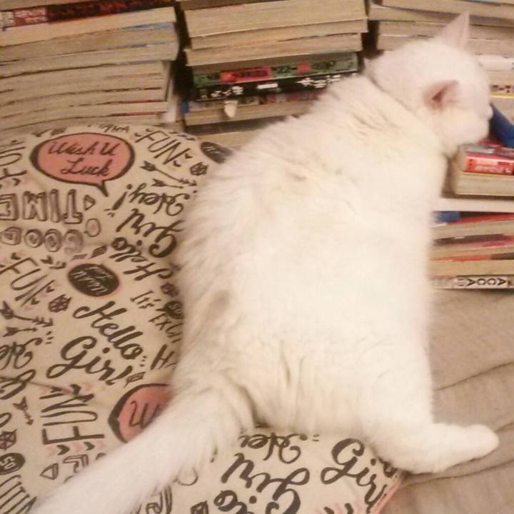 A797165e a01f 4b09 aab6 06ecd467916c