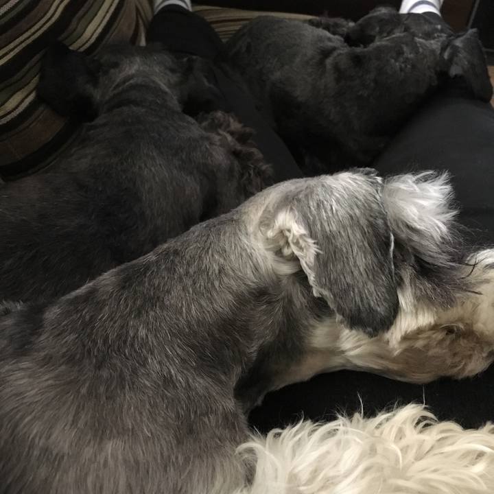 A7971ef2 79bd 4f64 9ed8 cbad89bf79b6