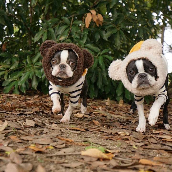 A797602d fa6f 450b 8a60 be2ead5a4fb5