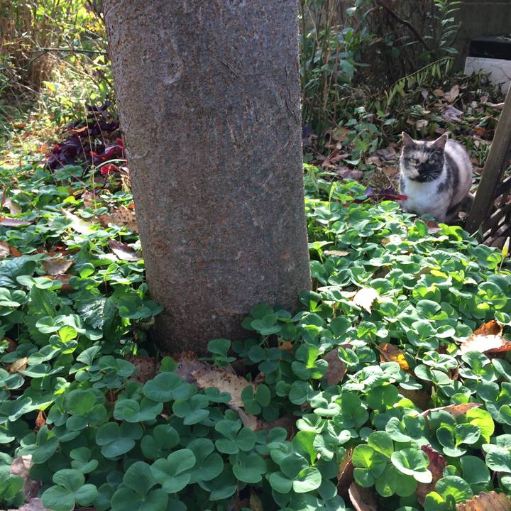 A797884c 2e0d 409b 9beb c17d9e641833