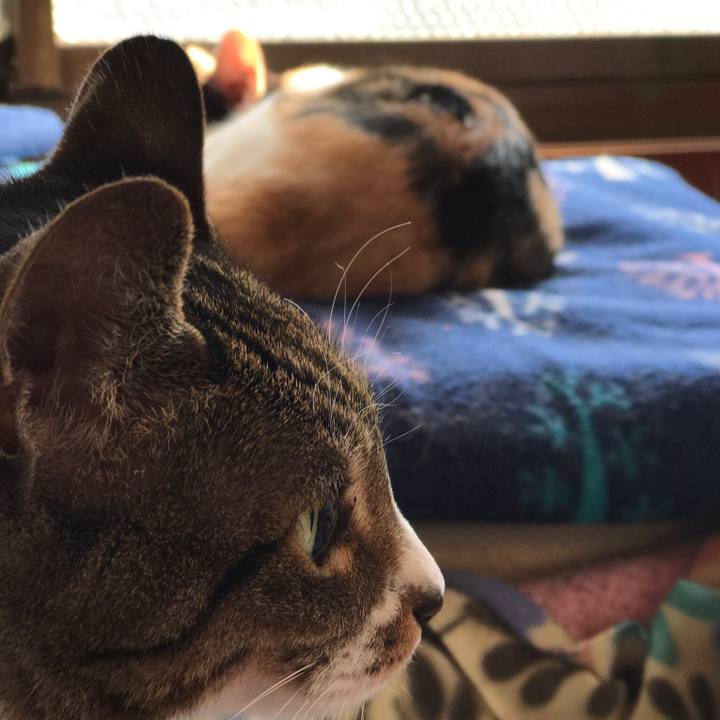 A7981b37 397f 494e a595 53703b0929bf