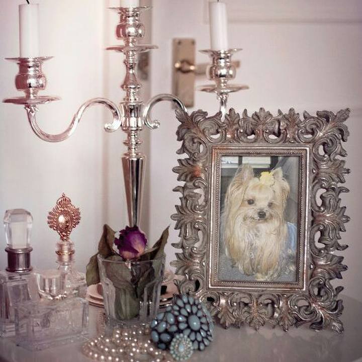 A798253f 77b9 4e3c 827b f4ae1e99d13e