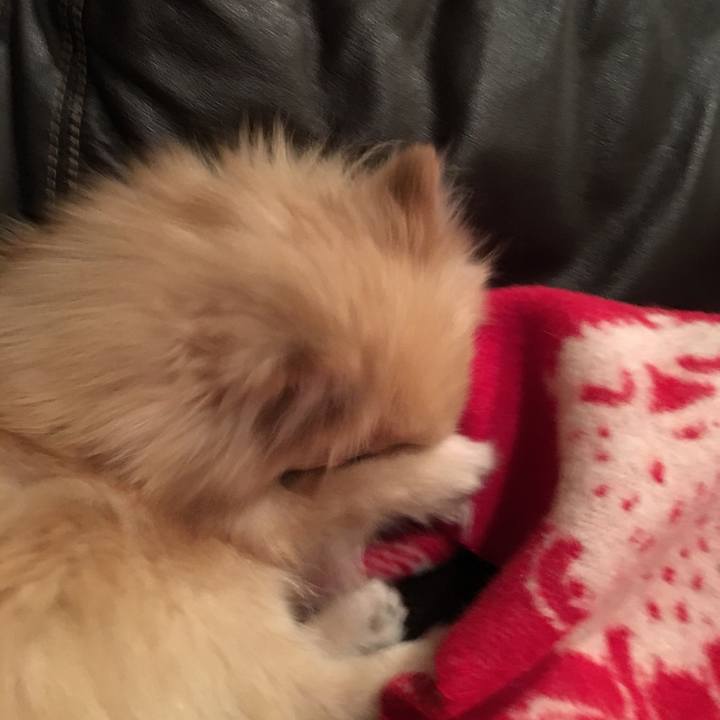 A7984eb6 d75d 4fb7 932e 8ec2901dbe82