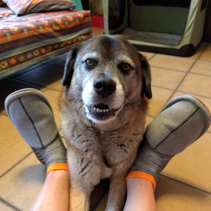 A798a1d3 2777 4c41 abe6 3f842e114c74