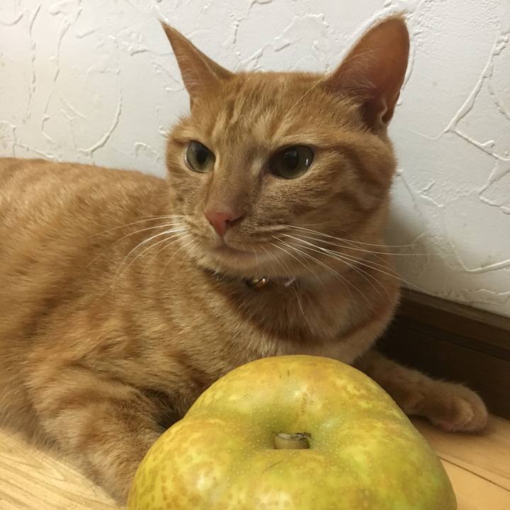 A798ac2b 04b3 49ba 8078 8c4640f43e06