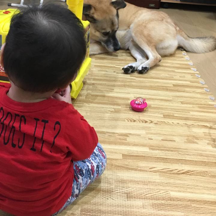 A798cede 07bb 4bca ac88 cef6e133198e