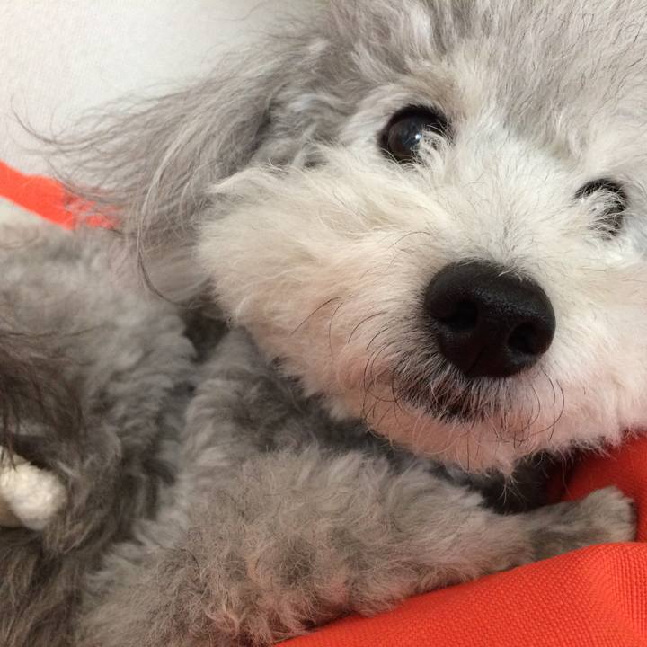 A7991a7f f696 4670 8446 6df91edbe267