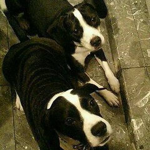 A7996517 1aee 4c1a b9d2 ad9cd0478e68