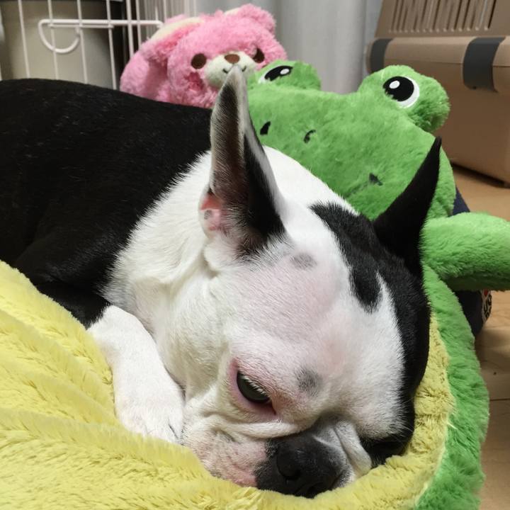 A799d8f3 e785 49cf 9823 b639f3374307