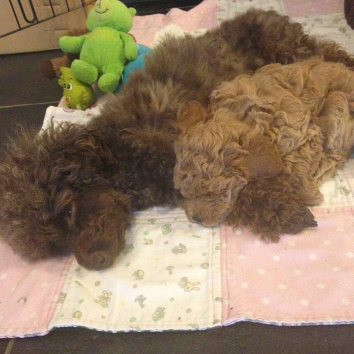 A79a7075 3a40 4228 a64c 947c15f0768b