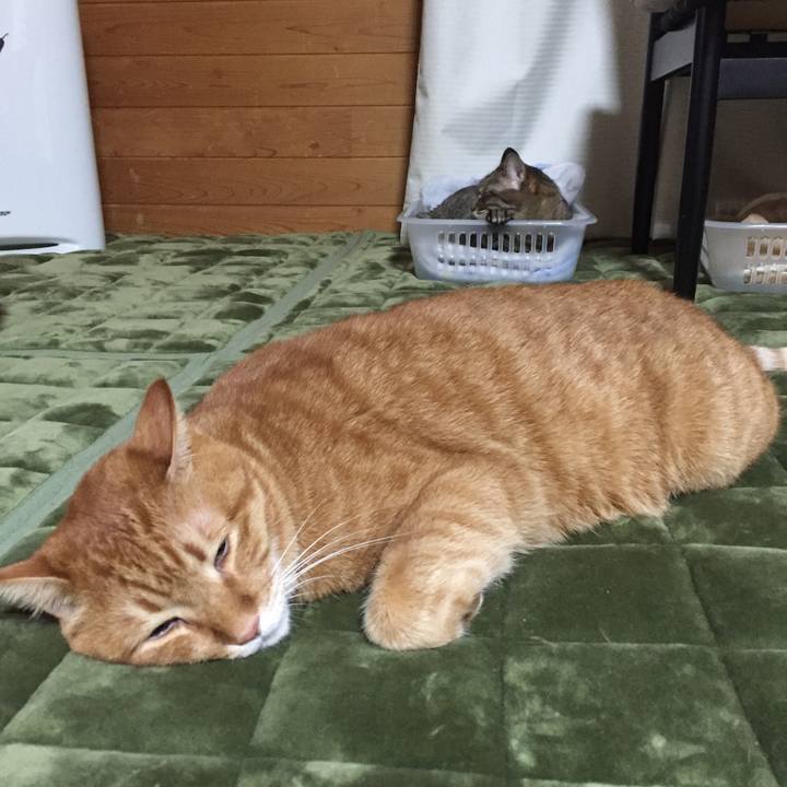 A79a7709 e64b 4c38 b1a0 ab264b8018bb