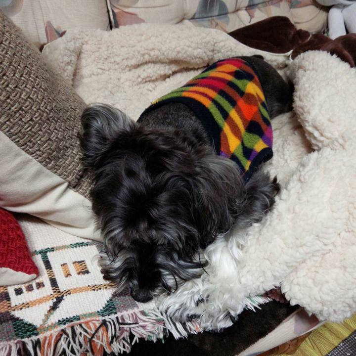 A79af029 244c 40e5 ab28 f7a8186862f1