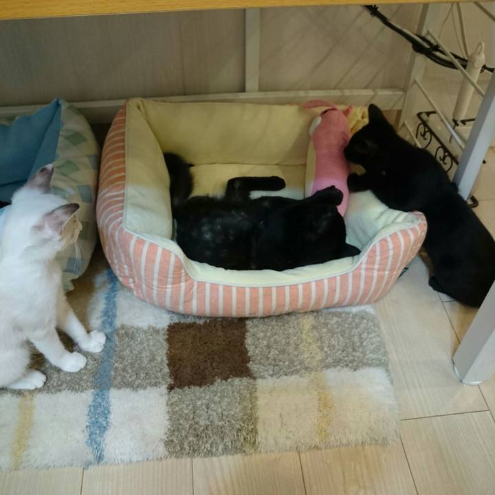 A79c61d1 a938 496f a0e6 30b3ea10ac98