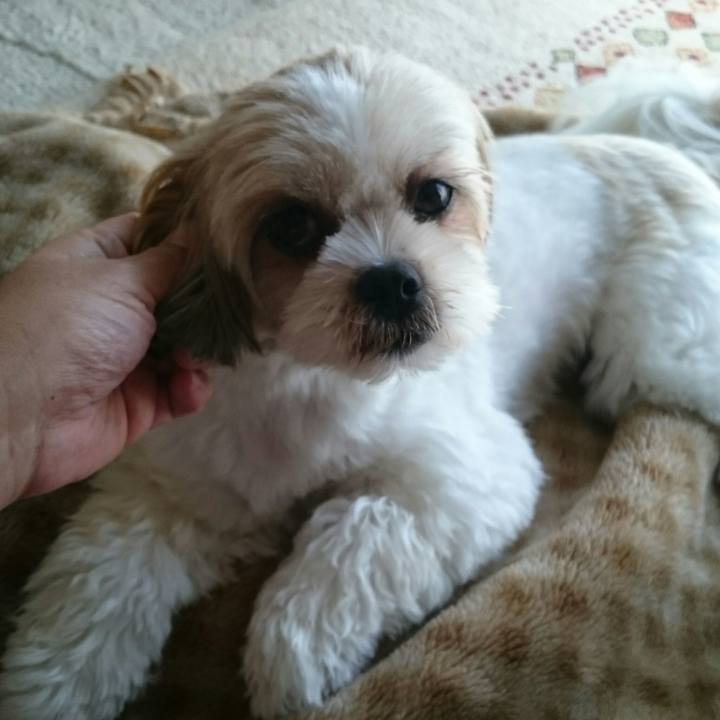 A79c8a2d 7be9 4ece a4a4 b2c2734a5516