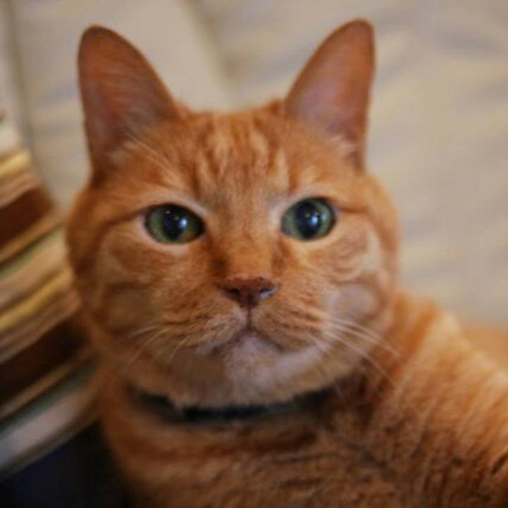 A79c9185 5f15 4581 bcda 68fd2f0b4196