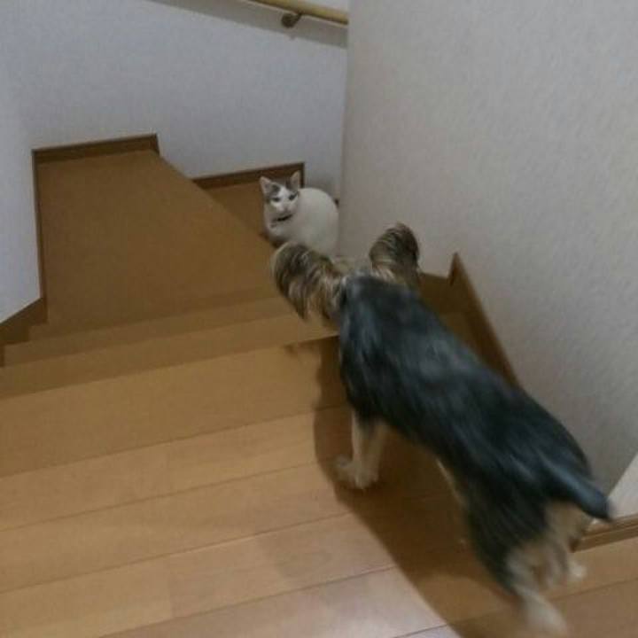 A79cd023 4027 4a8e 9a2d dff3d077c4f8