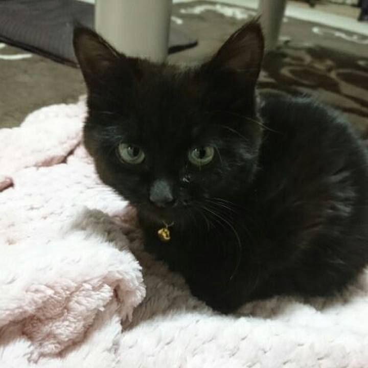 A79cdb2f 9678 4f29 8739 b6f0c325e259