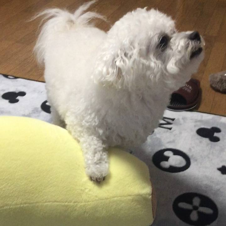 A79de53c c1a4 49c2 8c55 f592e5f329b0