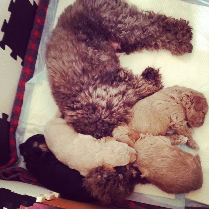 A79ea872 34f0 4820 848b 617cc69cadf9