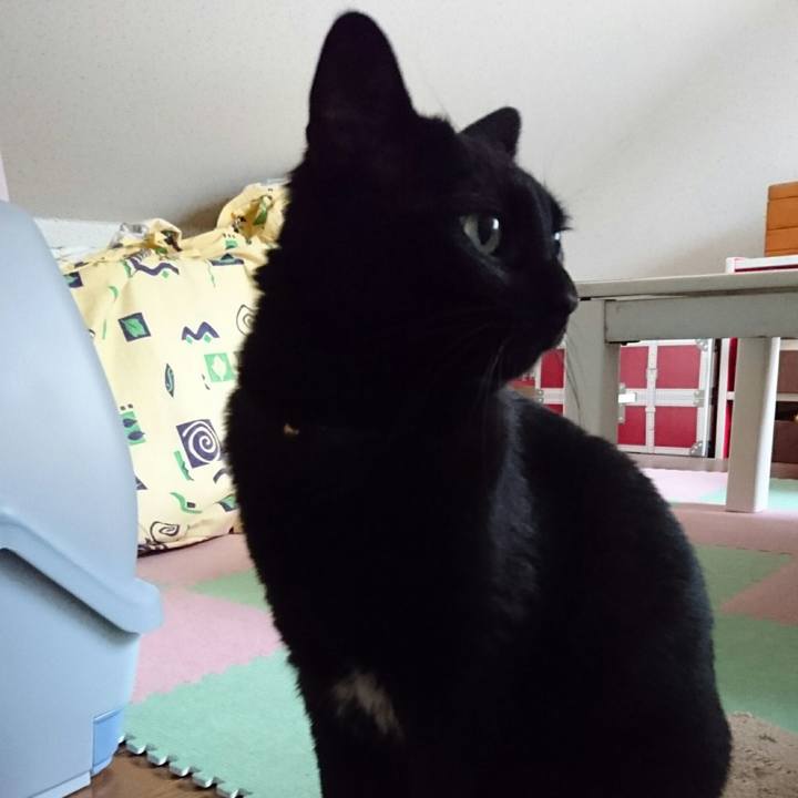 A79ecc2a 7cf3 4463 9790 59f445f2fb69