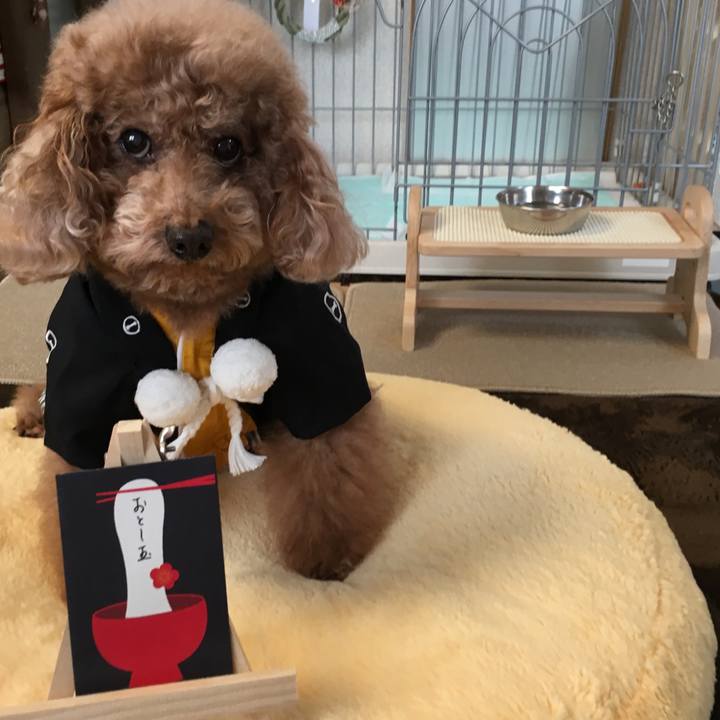 A79fcc3f 96db 4d86 9333 be9df7c79613