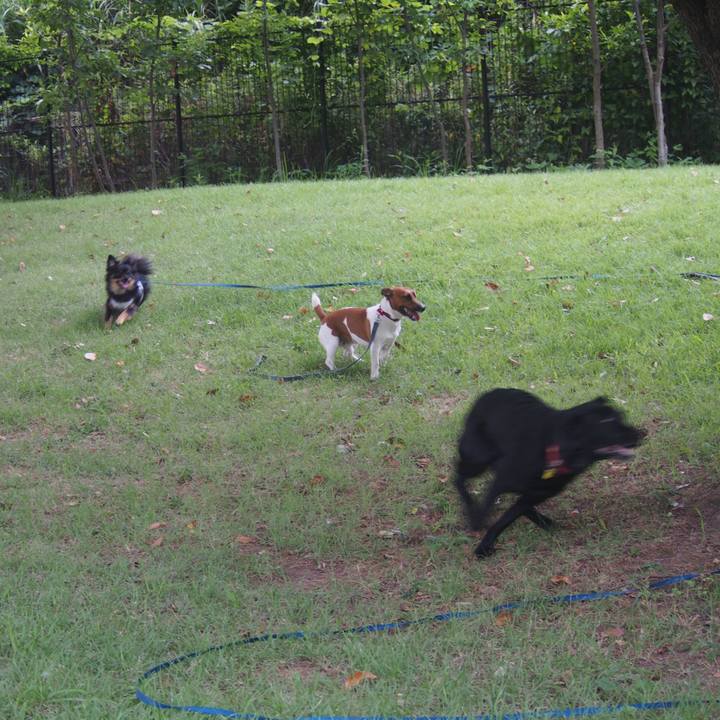 A7a005ab d207 496d 88a9 d2f63904725e