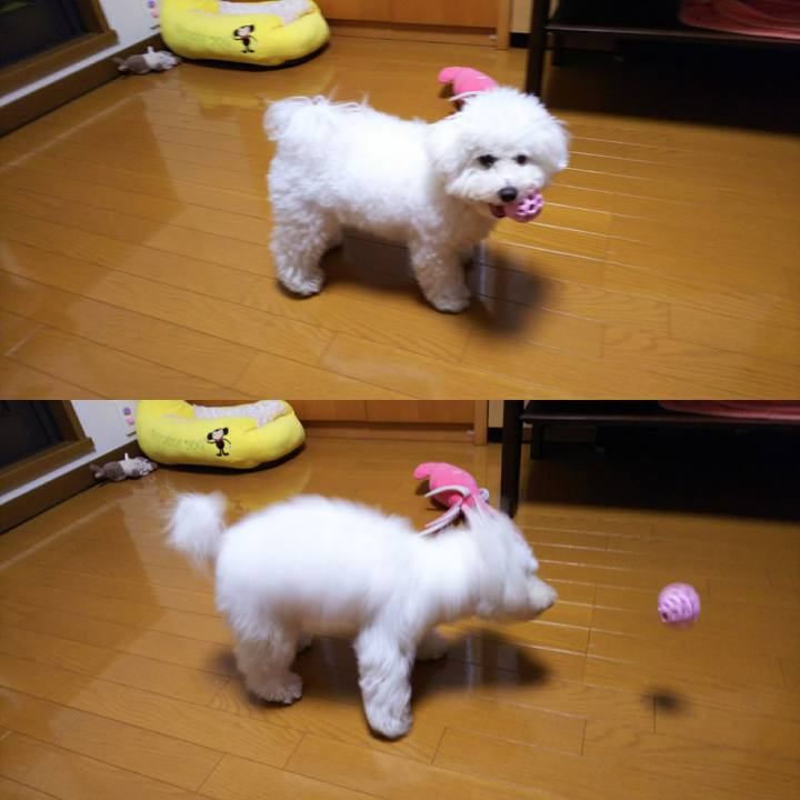 A7a00ec4 3d9e 4d31 a6f5 01bdb4b9a525