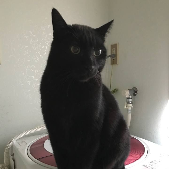 A7a03f26 d61c 48bc a2d1 622123d7e45e