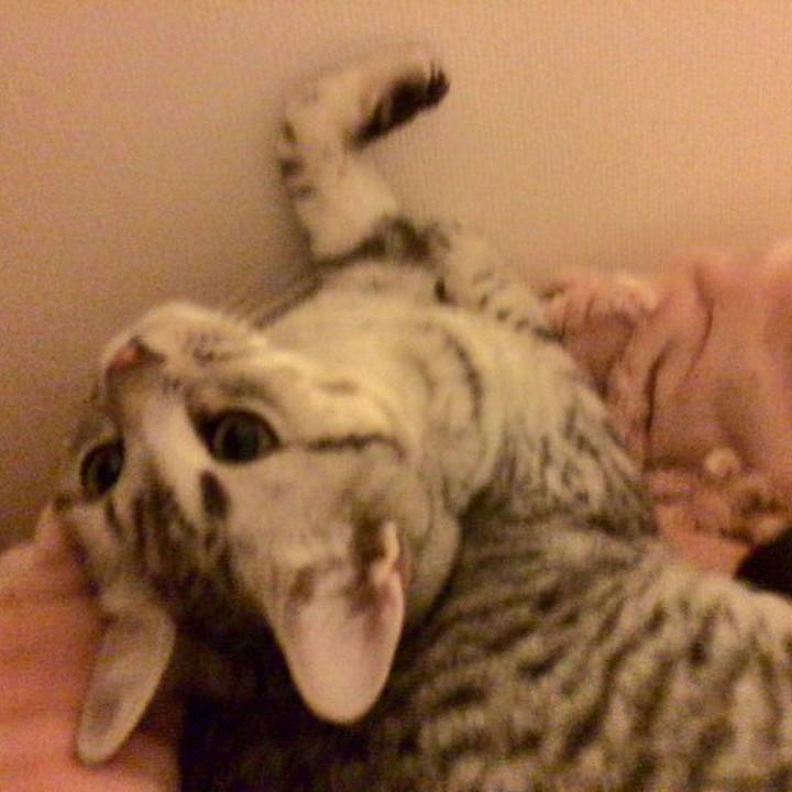 A7a0e10f 5931 4634 957e fdb53a71a152