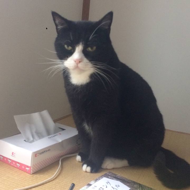 A7a10b04 ba3d 4fdf aa61 538fb8cfd3da