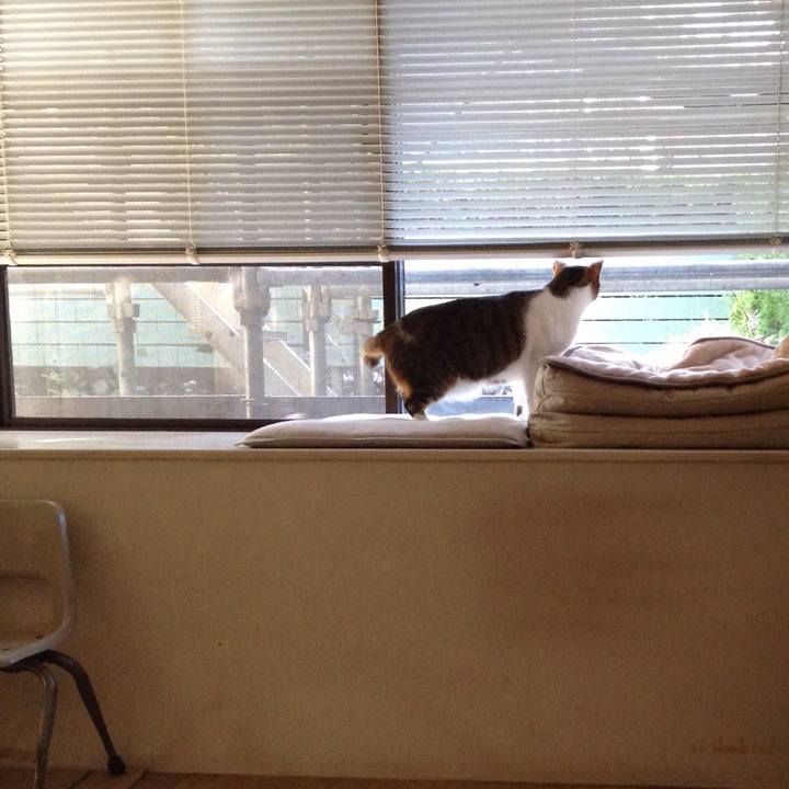 A7a118bf 29ed 4294 8dfa 0ace38fec60f