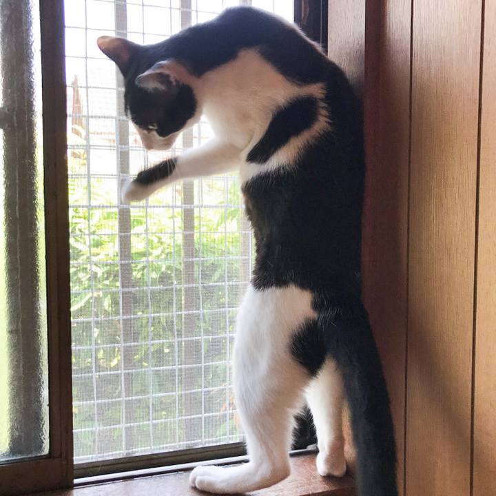 A7a1b01c 87c2 4427 a8b8 584010f2b09f