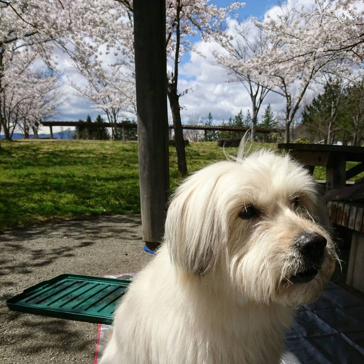 A7a1e384 240d 40e7 a4d9 120f7b72d9ae