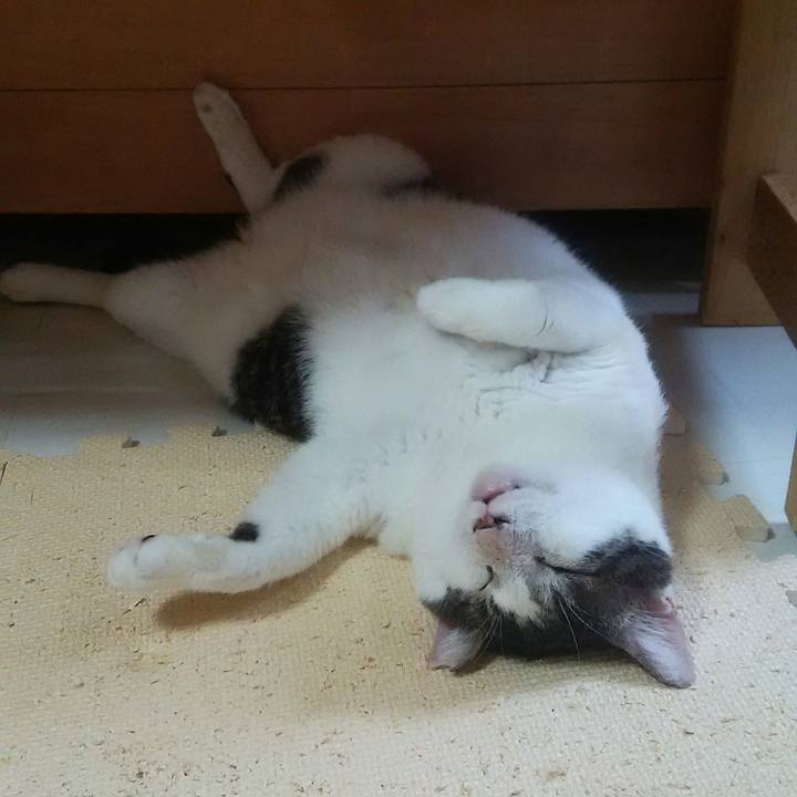 A7a238e2 0370 4b06 bf06 6b0e5ad46512