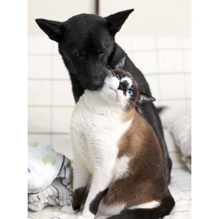 A7a3143c be30 453c a3bf 4378336c888b