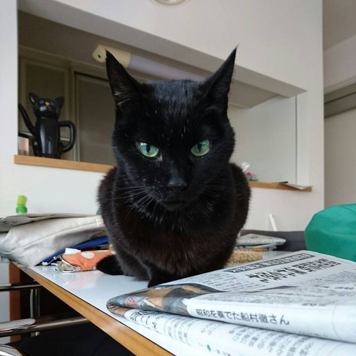 A7a33402 ba86 4970 8299 ad1b4fff3d84