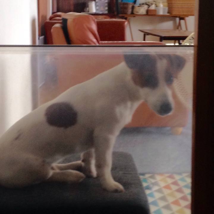 A7a42568 ad75 405f beed e97e238c3bba