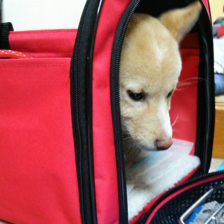 A7a498f5 2764 498a ae0a ac79aef6f336