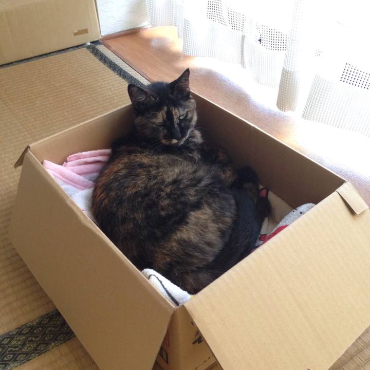 A7a49ba7 6138 4226 bd25 dddb382aa2db