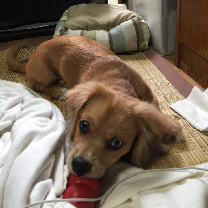 A7a4d207 d200 49c1 ae19 5f0aa322ebf6