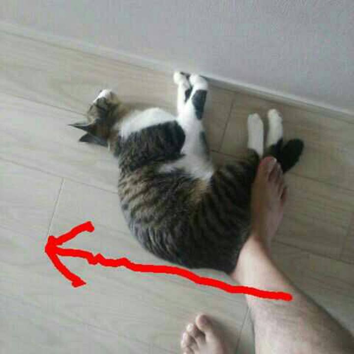 A7a56e2f ae84 4e7c bbfe 70f155a35632