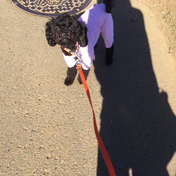 A7a59bb6 11c6 4225 baf7 02b0e458a12f