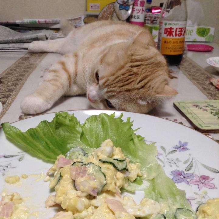 A7a59fe2 c6b9 4d30 a79a 7a27f21e8743