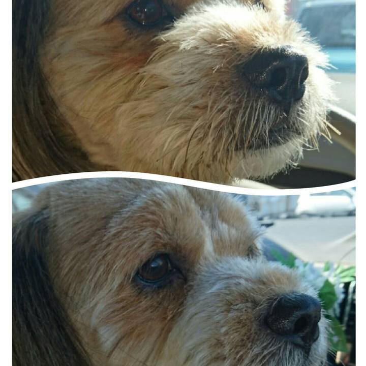 A7a5c23c 4d4b 46d1 82a3 a79ef9ada2a8