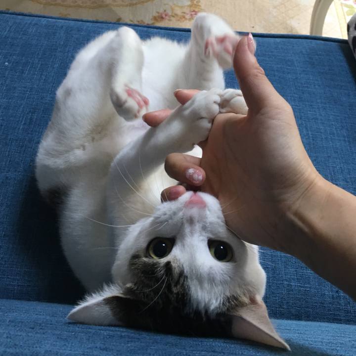 A7a5cbfe 2912 4470 9afc 8b187943b771