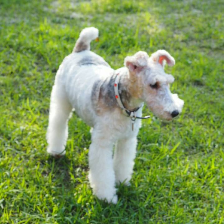 A7a63ab3 76ca 4763 b737 9b68e4337e25