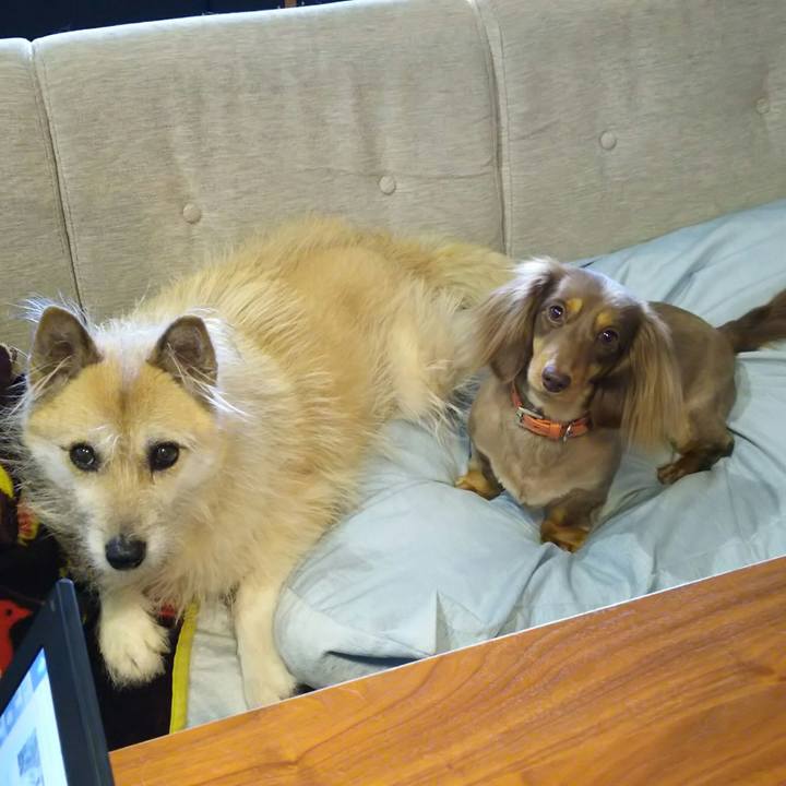 A7a67d5c 0104 4b85 8d49 9e6ceb59cc7e