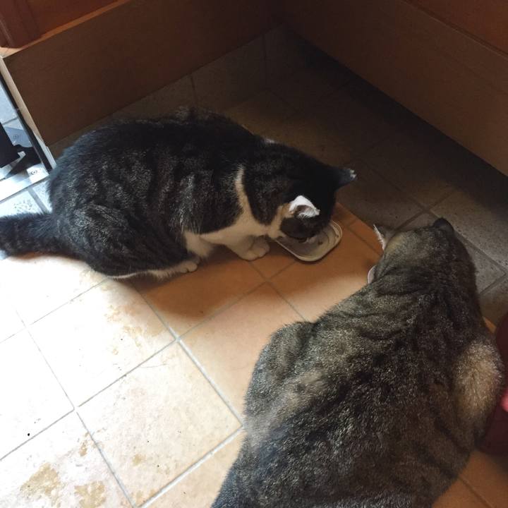 A7a69eb9 105d 49c4 8f2c c05a7a8155f0