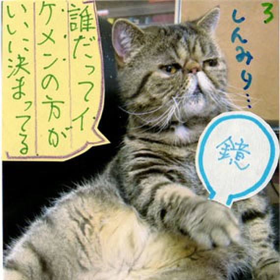 A7a7ee09 edd4 4124 bd17 8fd94aeca957